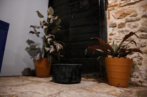 Christi Iuxury Apartment Preveza Buitenkant foto